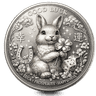silver coin