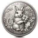 silver coin